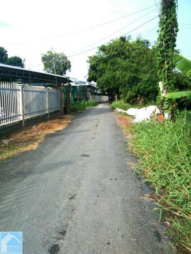 Đất 5x30 thổ cư lộ nhựa 5m Ô Môn, Trường Lạc Đất 5x30 thổ cư lộ nhựa 5m Ô Môn, Trường Lạc
