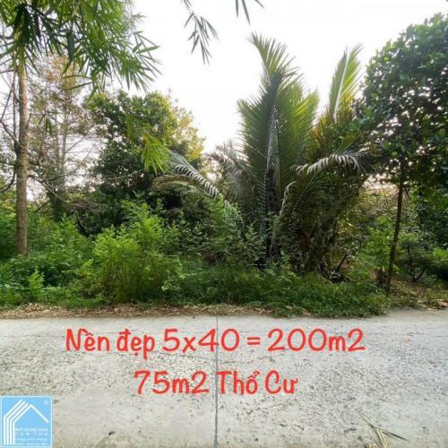 790tr - Nền Đẹp 200m2, Rạch Chuối, Mỹ Khánh, Phong Điền ~ 3,95tr/m2 