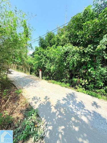 BÁN 03 NỀN 6x46M FULL THỔ CƯ GIÁ 1.55 TỶ, PHƯỜNG AN BÌNH.