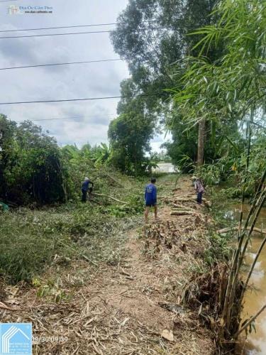 Bán 11 công đất Kinh Bốn Thước, xã Thới Lai, Cần Thơ, giá 250tr/công