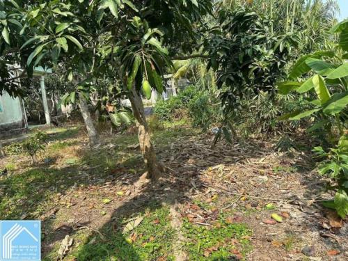 Bán 1747m2 Đất Rạch Ngã Bát - cách đường Trương Vĩnh Nguyên 1km - Cách Lộ 40m đang làm 300m