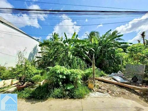 Bán 3 Nền hẻm 388 Nguyễn Văn Cừ, P.An Khánh, Q.Ninh Kiều, Cần Thơ Bán 3 Nền hẻm 388 Nguyễn Văn Cừ, P.An Khánh, Q.Ninh Kiều, Cần Thơ