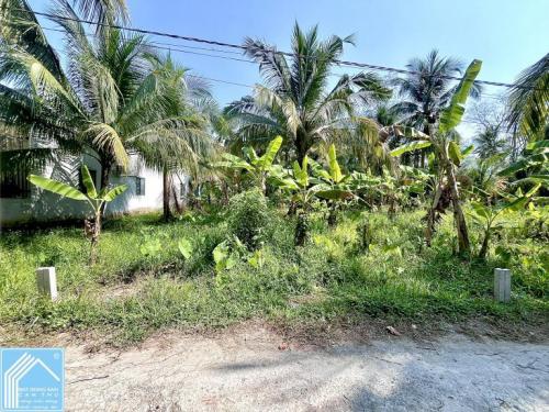 Bán 3 Nền hẻm 6A đường Nguyễn Chí Thanh vào 300m - Gần KCN Trà Nóc