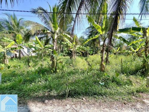 Bán 3 Nền hẻm 6A đường Nguyễn Chí Thanh vào 300m - Gần KCN Trà Nóc