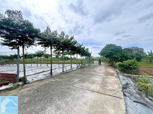 Bán 300m2 Đất Hẻm 2A đường Nguyễn Văn Cừ nối dài - Gần ĐH Nam Cần Thơ, Thông Lộ Vòng Cung