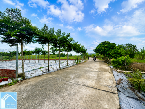Bán Cặp Nền Hẻm 2A đường Nguyễn Văn Cừ nối dài - Gần ĐH Nam Cần Thơ, Thông Lộ Vòng Cung