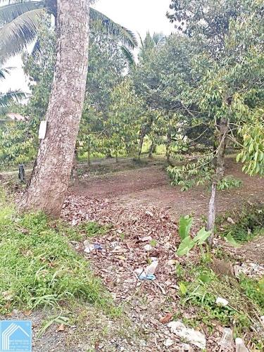 Bán 515m2 Đất đường Trường Long Vàm Bi