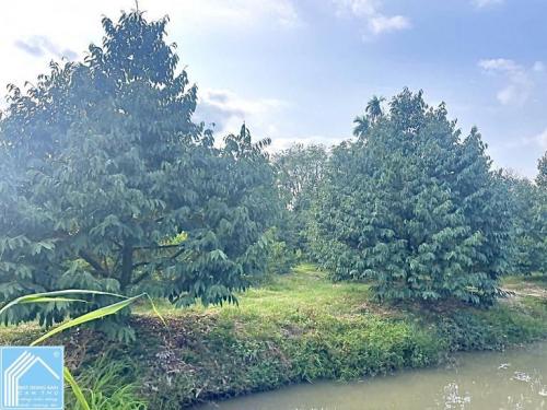 Bán 5.409m2 đất Xã Nhơn Ái - Cách chợ Phong Điền 10 phút, TP.Cần Thơ