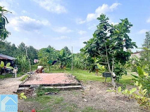 Bán 5.409m2 đất Xã Nhơn Ái - Cách chợ Phong Điền 10 phút, TP.Cần Thơ