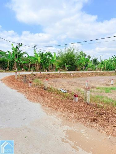 BÁN 8 NỀN  FULL THỔ CƯ CÁCH CHỢ MỸ KHÁNH 800M GIÁ 950 TRIỆU.