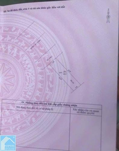 BÁN CẶP NỀN 159-161 ĐƯỜNG A1 KDC THIÊN LỘC P. HƯNG PHÚ (P. PHÚ THỨ, Q. CÁI RĂNG CŨ), TP CẦN THƠ 