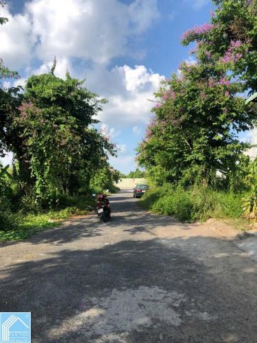 BÁN ĐẤT ĐƯỜNG B25 KHU DÂN CƯ HƯNG PHÚ 1 _ TP CẦN THƠ