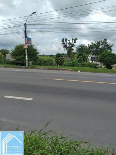 bán đất Đường Nguyễn Văn Linh, Phước Thới, Quận Ô Môn, Cần Thơ, 906,4 m² đất trồng cây lâu năm