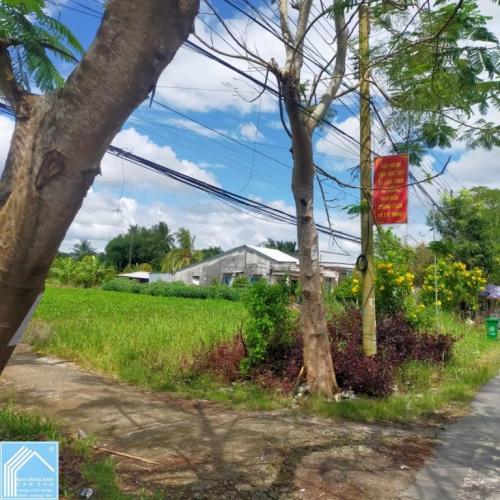 bán đất Vườn Đường T922 Thới Lai, Cần Thơ