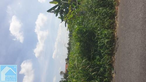 Bán đất mặt tiền đường Nguyễn Viết Xuân (đoạn gần Nguyễn Văn Linh)