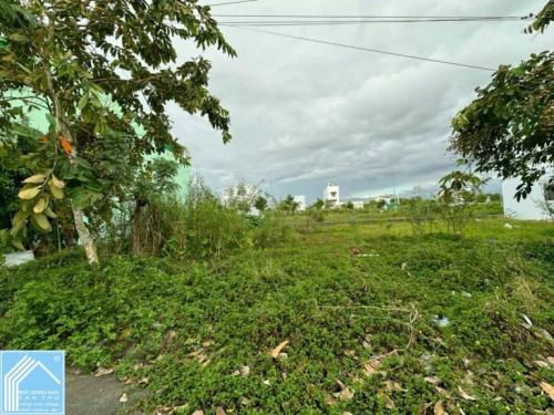 bán đất thổ cư 100m2 ở Tại KDC Phú An giá dưới 2,5 tỷ