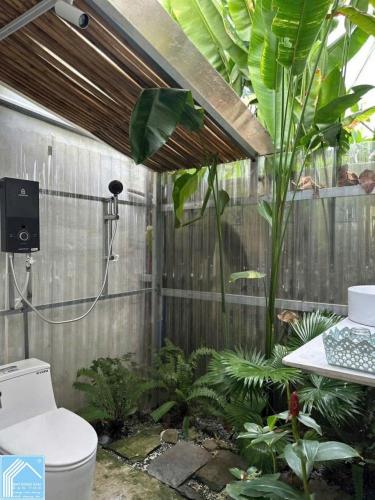 BÁN ĐẤT VÀ NHÀ TRỆT SÂN VƯỜN. GIÁ: 3,2TỶ thu nhập hiện tại 8tr/ 1 tháng Nhà sân vườn khu Nông