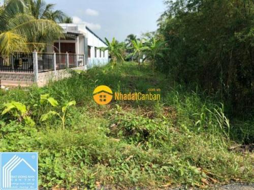 Bán Đất thổ cư 100%  đường Lê Đức Thọ (Tỉnh 922 cũ) tại xã Tân Thạnh, huyện Thới Lai, Cần Thơ