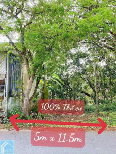 BÁN NỀN - MẶT TIỀN (Đường ĐINH CÔNG CHÁNH). Cách cầu BÌNH THUỶ chỉ 200m