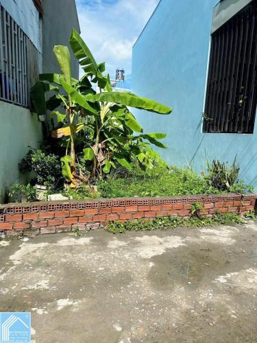 BÁN NỀN 100% THỔ CƯ - LỘ ÔTÔ tới. Khu dân cư đông đúc, xây nhà ở ngay