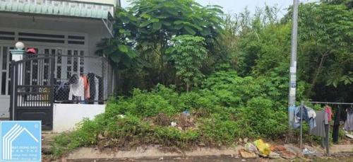 BÁN NỀN 15 ĐƯỜNG B9 KDC TÂN PHÚ, CÁI RĂNG, CẦN THƠ.