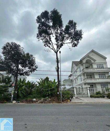 BÁN NỀN BIỆT THỰ (9X20) ĐƯỜNG A1 KDC LONG THỊNH (11D) CẦN THƠ - LH 0942495498 PHương