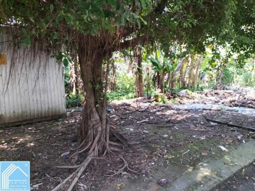 BÁN NỀN ĐẸP KHU DÂN CƯ TÂN PHÚ THẠNH, CHÂU THÀNH A, HẬU GIANG