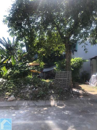 BÁN NỀN ĐƯỜNG B25 KHU DÂN CƯ HƯNG PHÚ 1, CẦN THƠ