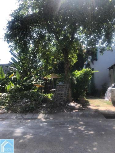 BÁN NỀN ĐƯỜNG B25 KHU DÂN CƯ HƯNG PHÚ 1, CẦN THƠ