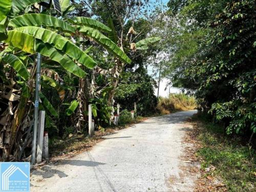  BÁN NỀN ĐƯỜNG VƯỜN MẬN ĐỐI DIỆN BV NHI ĐỒNG MỚI - RẠCH NGÃ BÁT