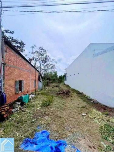  BÁN NỀN ĐƯỜNG VƯỜN MẬN GẦN BỆNH VIỆN NHI ĐH FPT 181M2