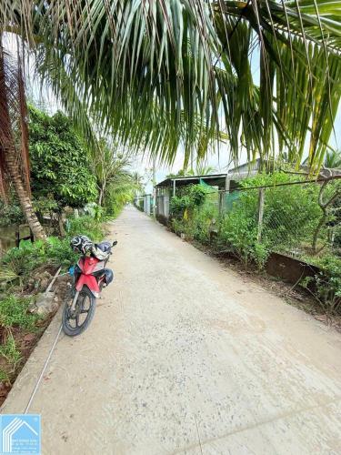 BÁN NỀN GẦN KDL LUNG CỘT CẦU, CÁCH QL61C 900m FULL THỔ CƯ