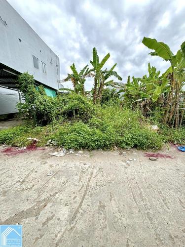 Bán Nền hẻm 112 đường Hoàng Quốc Việt