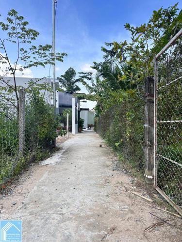 Bán NỀN Hẻm 31 Đồng Ngọc Sứ, cấp GPXD, xây nhà ở ngay (Hẻm nằm gần Trần Quang Diệu)