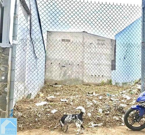 Bán Nền hẻm KDC 30 đường Nguyễn Văn Linh - Cặp Bến xe, Q.Ninh Kiều, Cần Thơ Bán Nền hẻm KDC 30 đường Nguyễn Văn Linh - Cặp Bến xe, Q.Ninh Kiều, Cần Thơ
