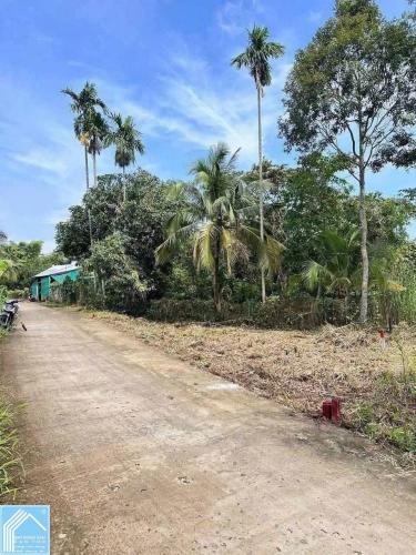  Bán Nền Rạch Ngã Bát ,Đường vườn mận Sau dh fpt