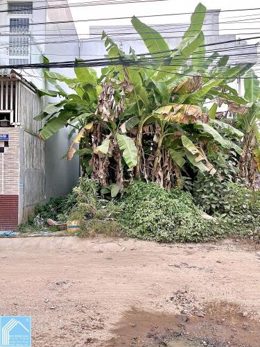 Bán Nền Trục chính KDC Dầu Khí - Gần ĐH FPT, Nam Cần Thơ, Bệnh viện Nhi, SIS, Ung Bướu