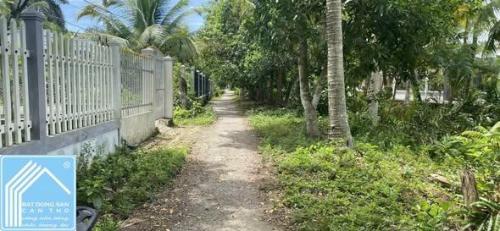 Bán đất vườn KV Bình Thường B, phường Long Tuyền, quận Bình Thủy, cần thơ