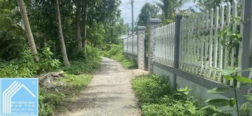 Bán đất vườn KV Bình Thường B, phường Long Tuyền, quận Bình Thủy, cần thơ