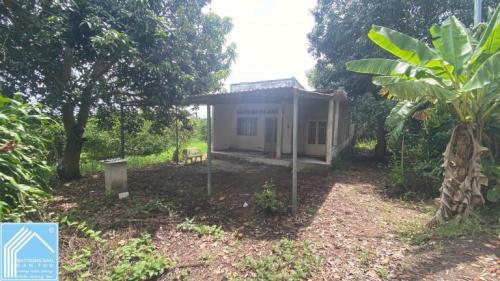 Bán Vườn 2469m2 TẶNG Căn Nhà 120m2, Cách QL61C Chỉ 300m, Nhơn Nghĩa, Phong Điền, TPCT