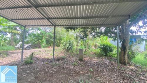 Bán Vườn 2469m2 TẶNG Căn Nhà 120m2, Cách QL61C Chỉ 300m, Nhơn Nghĩa, Phong Điền, TPCT
