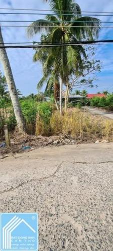 cần bán miếng đất 100% thổ cư Cái Răng - Cần Thơ.