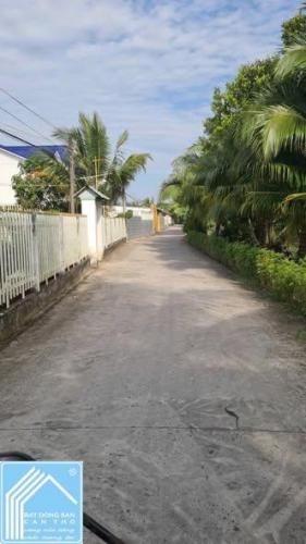 cần bán miếng đất 100% thổ cư Cái Răng - Cần Thơ.