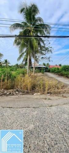 cần bán miếng đất 100% thổ cư Cái Răng - Cần Thơ.