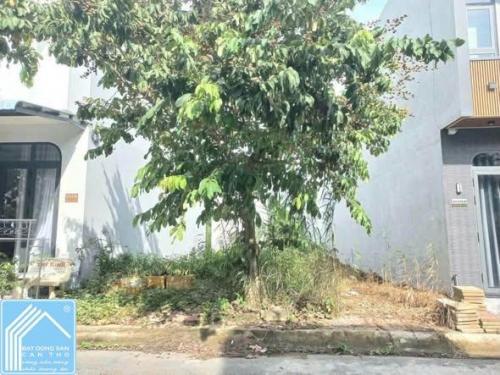 Cặp nền hiếm giá tốt đường C9 KDC Phú An, Phường Hưng Phú, Cần Thơ_ Chỉ 1 tỷ 950 triệu/nền