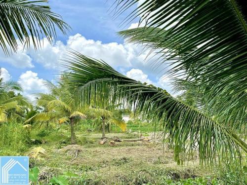 Cặp Nền Mặt tiền đường Nguyễn Viết Xuân Ngay chợ Ngã Ba, Q.Bình Thủy, TP.Cần Thơ Cặp Nền Mặt tiền đường Nguyễn Viết Xuân Ngay chợ Ngã Ba, Q.Bình Thủy, TP.Cần Thơ