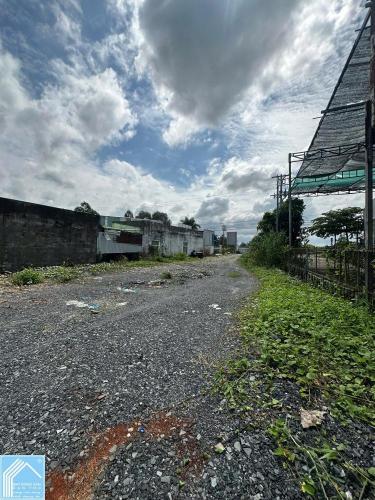 Cho thuê 3600m2 mặt tiền quốc lộ 61C đoạn gần cầu ba láng cái răng giá 35 triệu 