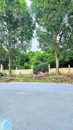 CHỦ Cần Bán Khách vô cuộc thương lượng Giá. Bán nền biệt thự 400m² đường 11 KDC 586