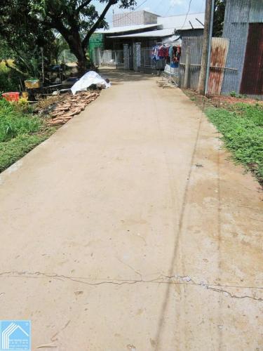 Đất 10x31 CLN Lộ 4M hẻm TL923 Phong Điền gần chợ Ba Se Đất 10x31 CLN Lộ 4M hẻm TL923 Phong Điền gần chợ Ba Se