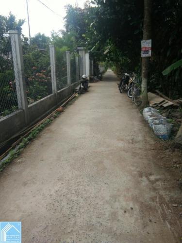Đất 7x36 Lộ 3M cách QL 91 chỉ 100m kv Thới Bình Đất 7x36 Lộ 3M cách QL 91 chỉ 100m kv Thới Bình
